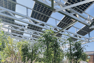 Ultimi blog aziendali su I ricercatori sottolineano l'importanza di una progettazione agrivoltaica sensibile al contesto