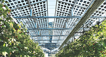 Ultimi blog aziendali su L'Italia rilascia nuove normative sulla selezione dei siti per progetti solari e sugli incentivi fiscali per il solare